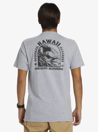 Quiksilver Hi Natural Resources T-Shirt - Image 5