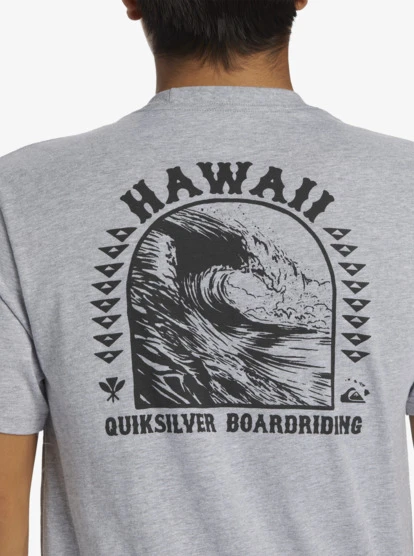 Quiksilver Hi Natural Resources T-Shirt - Image 3