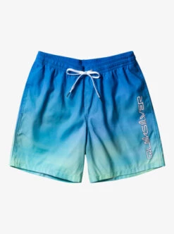 Quiksilver Everyday Breeze 17" Volleys