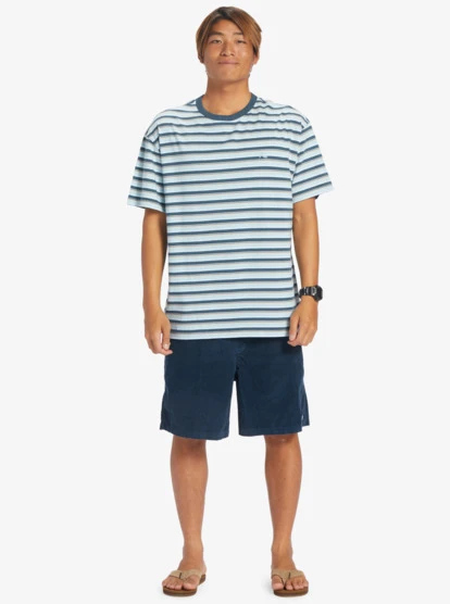 Quiksilver Joey Stripe T-Shirt - Image 6